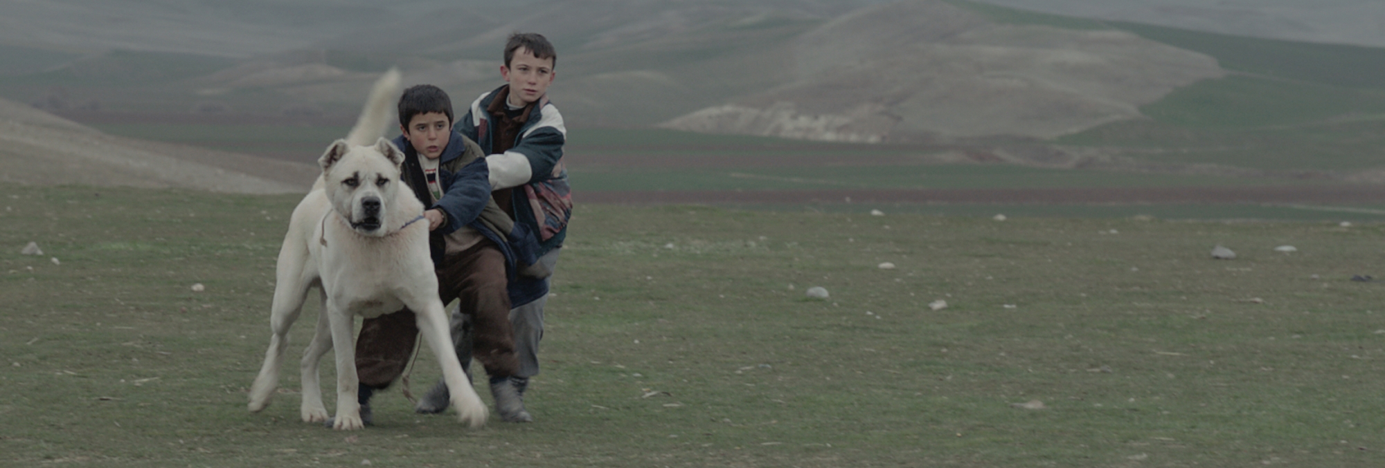 Sivas