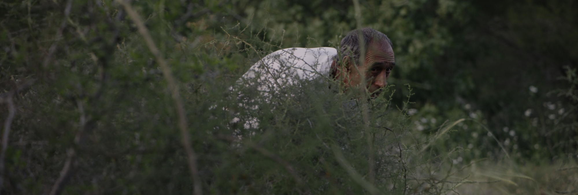 Foragers